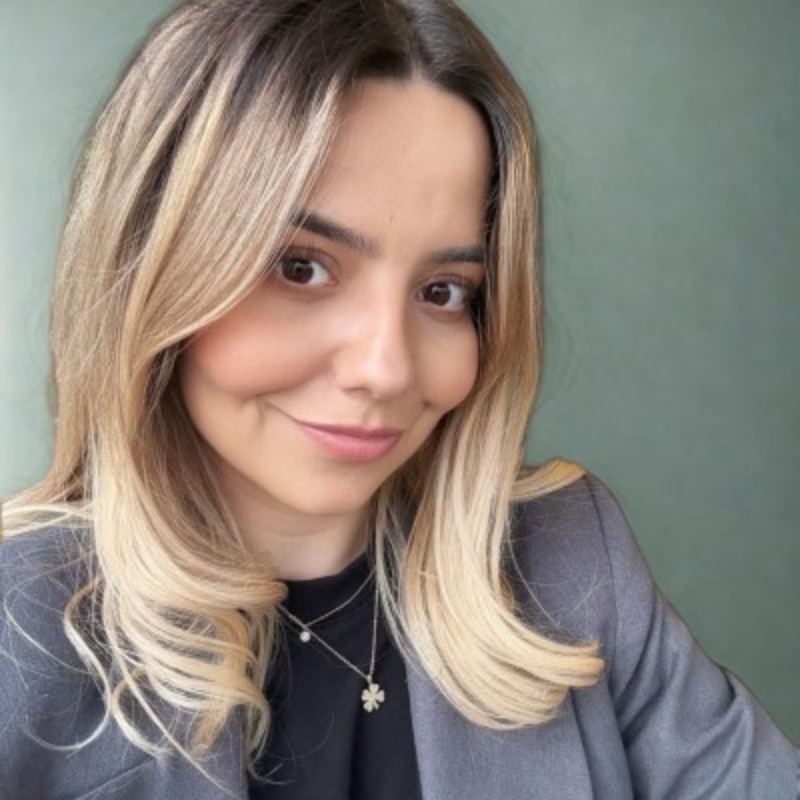 Ioana Birlan ICBE